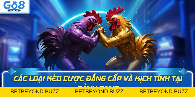 Đá gà GO8 - BETBEYOND