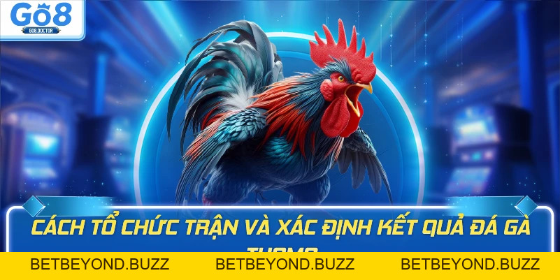Luật Chơi Đá Gà Thomo GO8 – Hướng Dẫn Chi Tiết Cho Người Mới - BETBEYOND