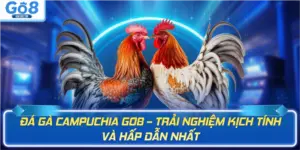Đá gà GO8 - BETBEYOND