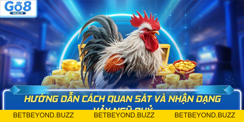 Vảy Gà Ngũ Quỷ GO8 Cách Nhận Biết Và Ý Nghĩa Trong Dân Gian - BETBEYOND