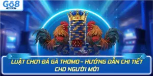 Đá gà GO8 - BETBEYOND
