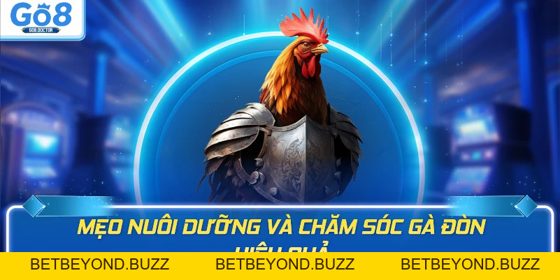 Cách Đá Gà Đòn GO8 – Kinh Nghiệm Huấn Luyện  Đỉnh Cao - BETBEYOND