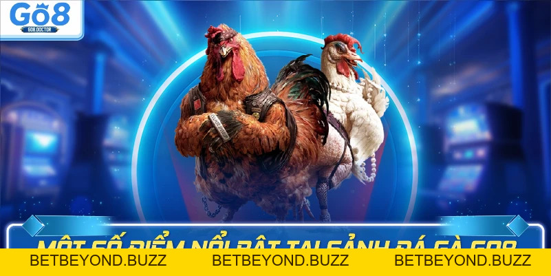 Đá gà GO8 - BETBEYOND