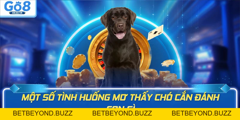 Mơ Thấy Chó Cắn Đánh Con Gì Chuẩn Nhất? Giải Mã Cùng Go8 - BETBEYOND