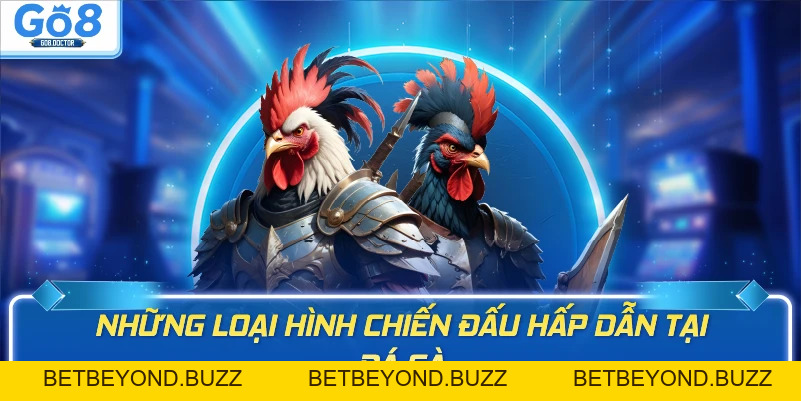 Đá gà GO8 - BETBEYOND