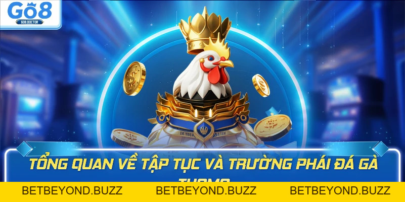 Luật Chơi Đá Gà Thomo GO8 – Hướng Dẫn Chi Tiết Cho Người Mới - BETBEYOND