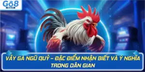 Đá gà GO8 - BETBEYOND