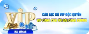Ưu Đãi GO8 – Tổng Hợp Các Chương Trình Thưởng - BETBEYOND